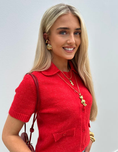 Aryi oorbel